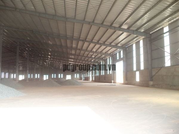 Warehouse Rent DN06