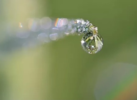 Desalating & Concentration