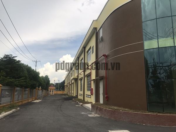 factory rent ho chi minh