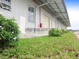 Factory for Lease in Binh Chanh