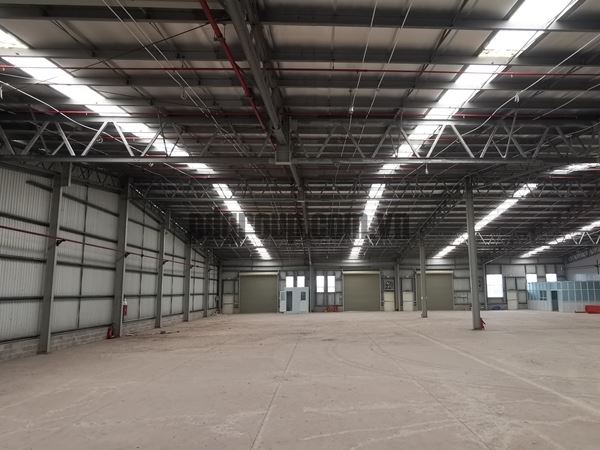 Factory for Lease in Binh Chanh